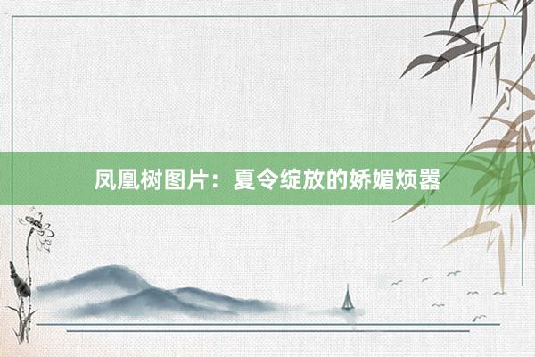 凤凰树图片：夏令绽放的娇媚烦嚣