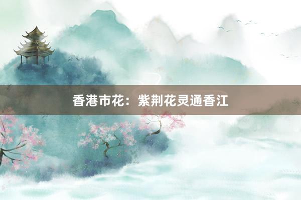 香港市花：紫荆花灵通香江